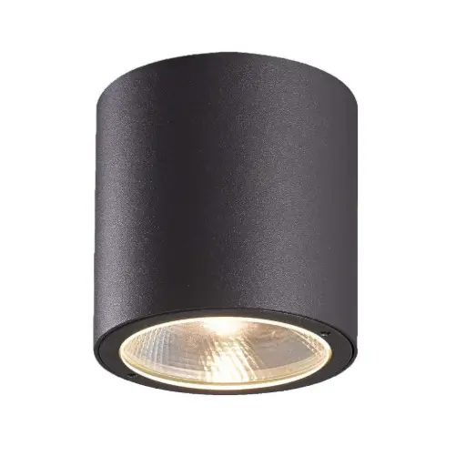 [28287-025] Plafonnier extérieur DEL , 7 watts, 3000K, finition gris graphite